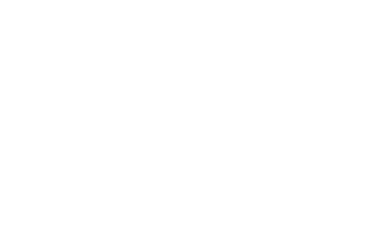 Fins